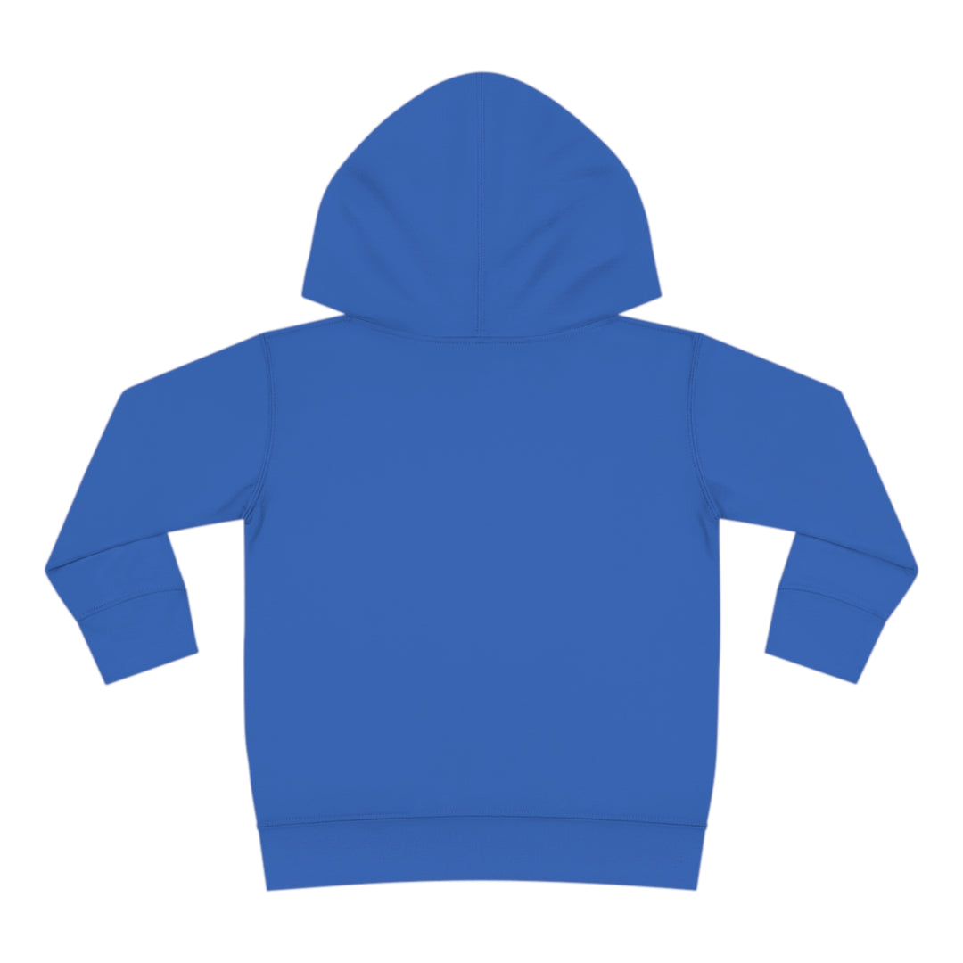 Friends-Toddler Pullover Fleece Hoodie