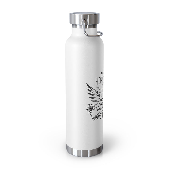 Copper Vacuum Insulated Bottle, 22oz