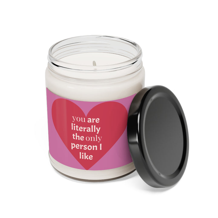 YOu are the only person i like-Scented Soy Candle, 9oz
