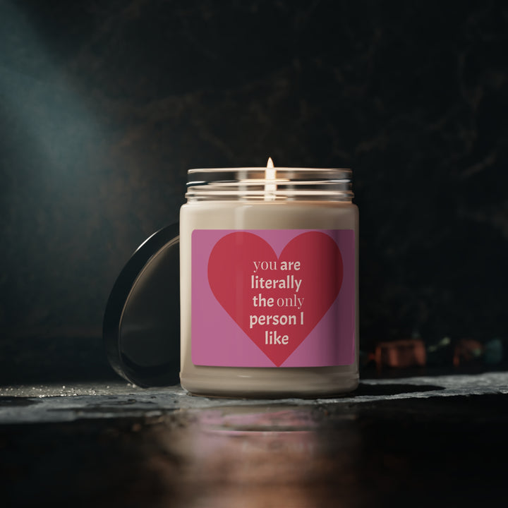 YOu are the only person i like-Scented Soy Candle, 9oz