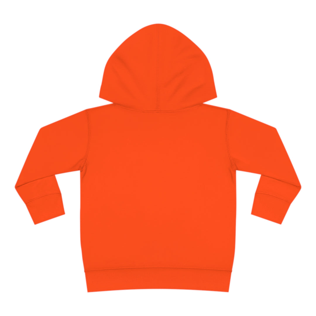 Friends-Toddler Pullover Fleece Hoodie