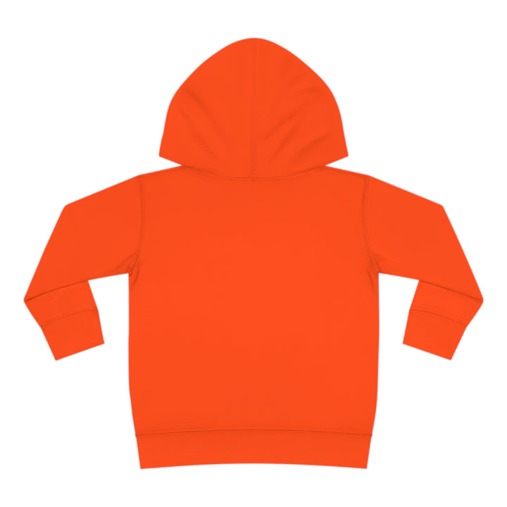 Friends-Toddler Pullover Fleece Hoodie