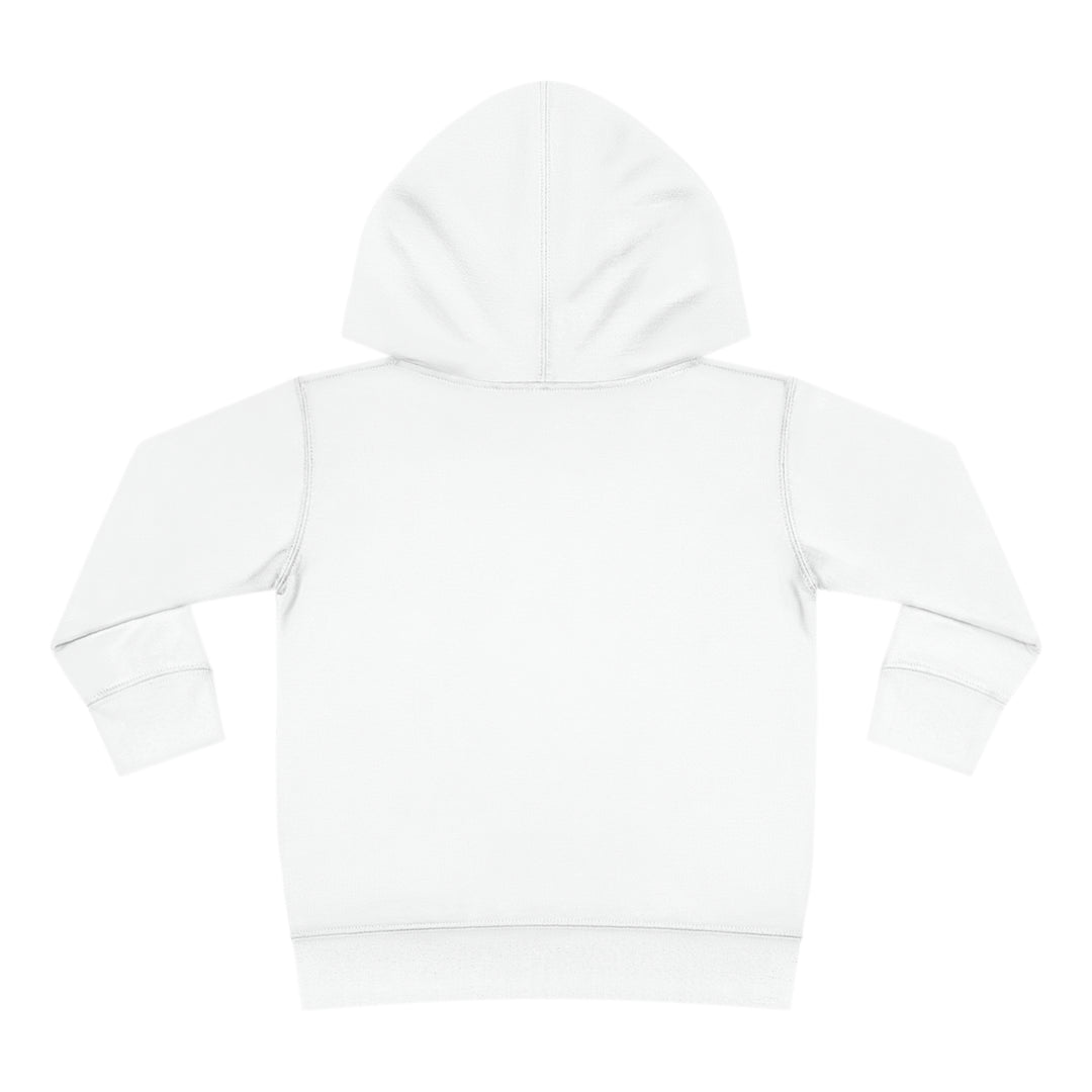 Friends-Toddler Pullover Fleece Hoodie