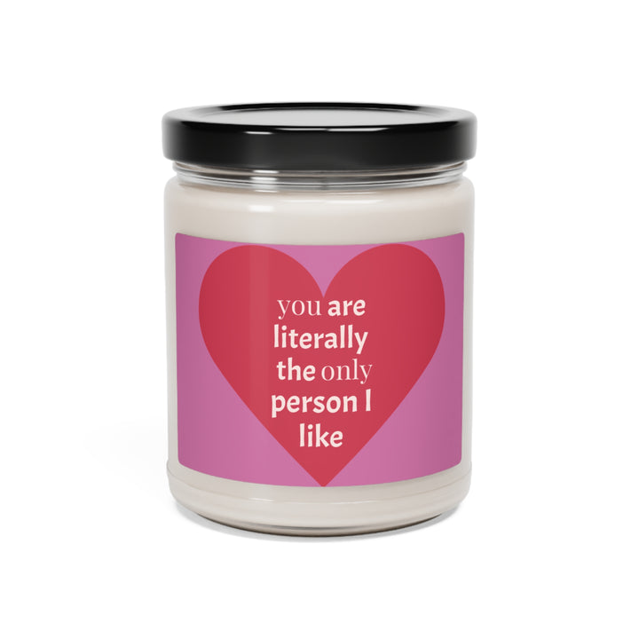 YOu are the only person i like-Scented Soy Candle, 9oz