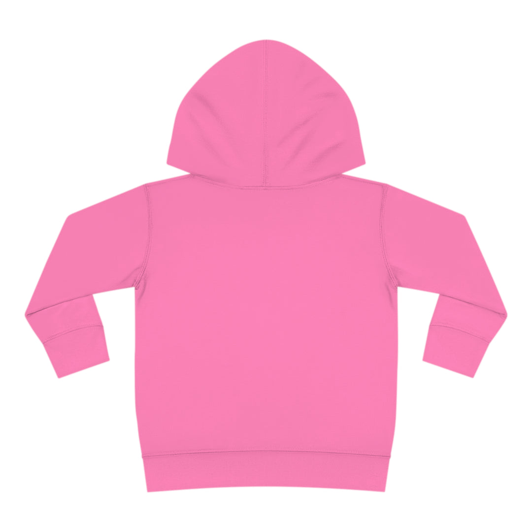 Friends-Toddler Pullover Fleece Hoodie