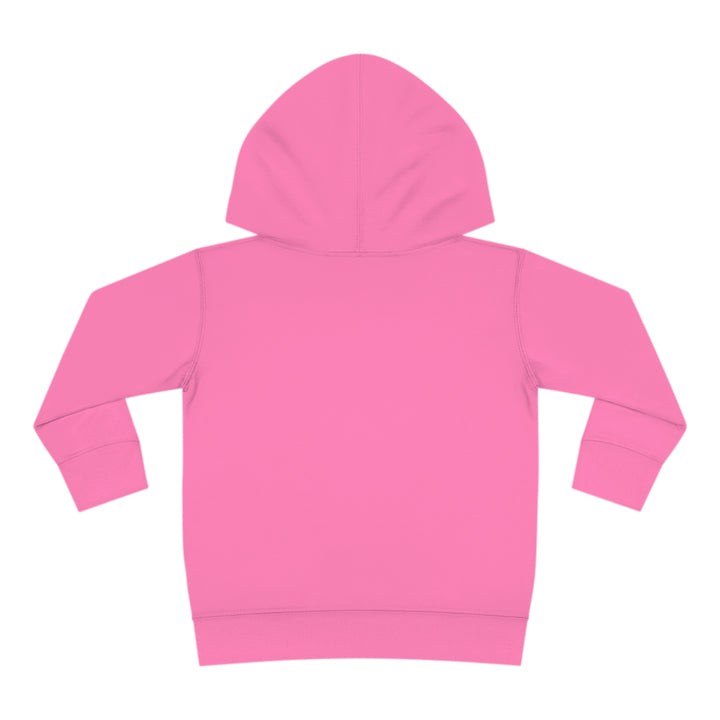 Friends-Toddler Pullover Fleece Hoodie