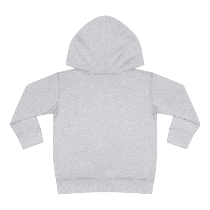 Friends-Toddler Pullover Fleece Hoodie
