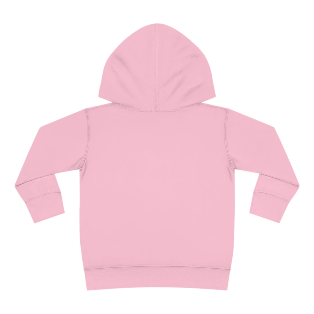 Friends-Toddler Pullover Fleece Hoodie