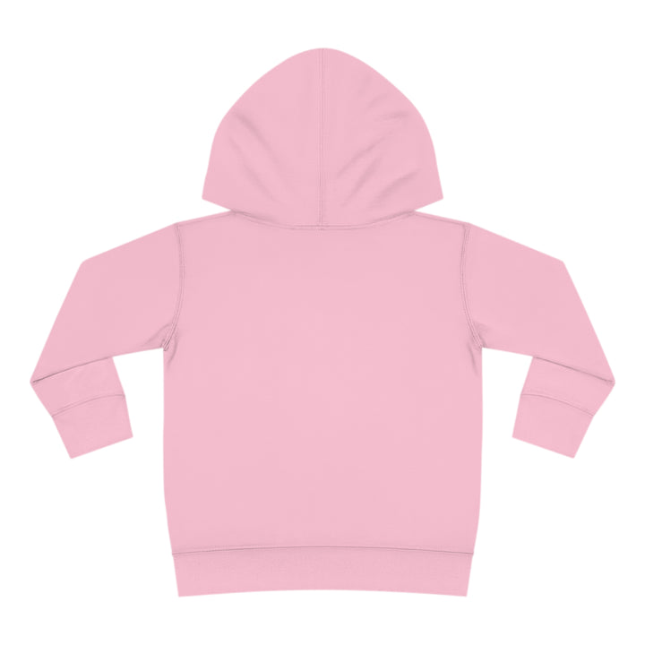 Friends-Toddler Pullover Fleece Hoodie