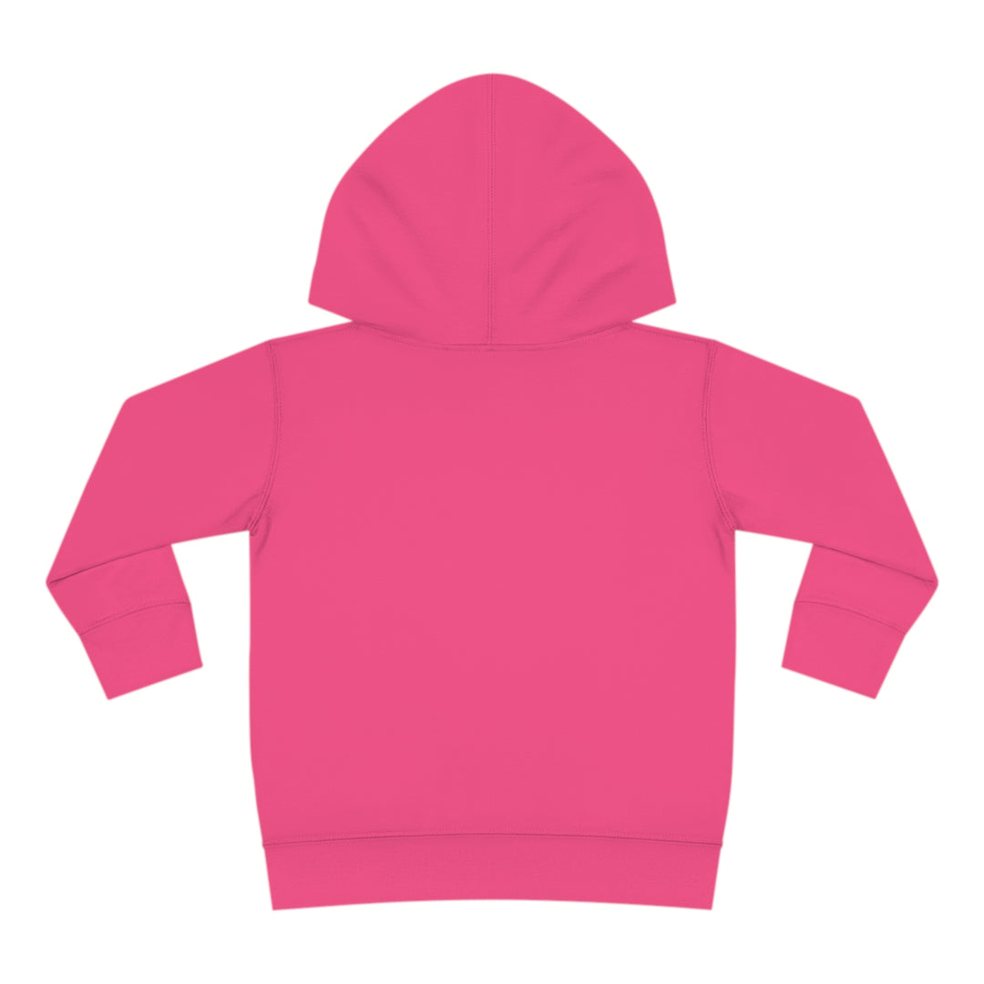 Friends-Toddler Pullover Fleece Hoodie