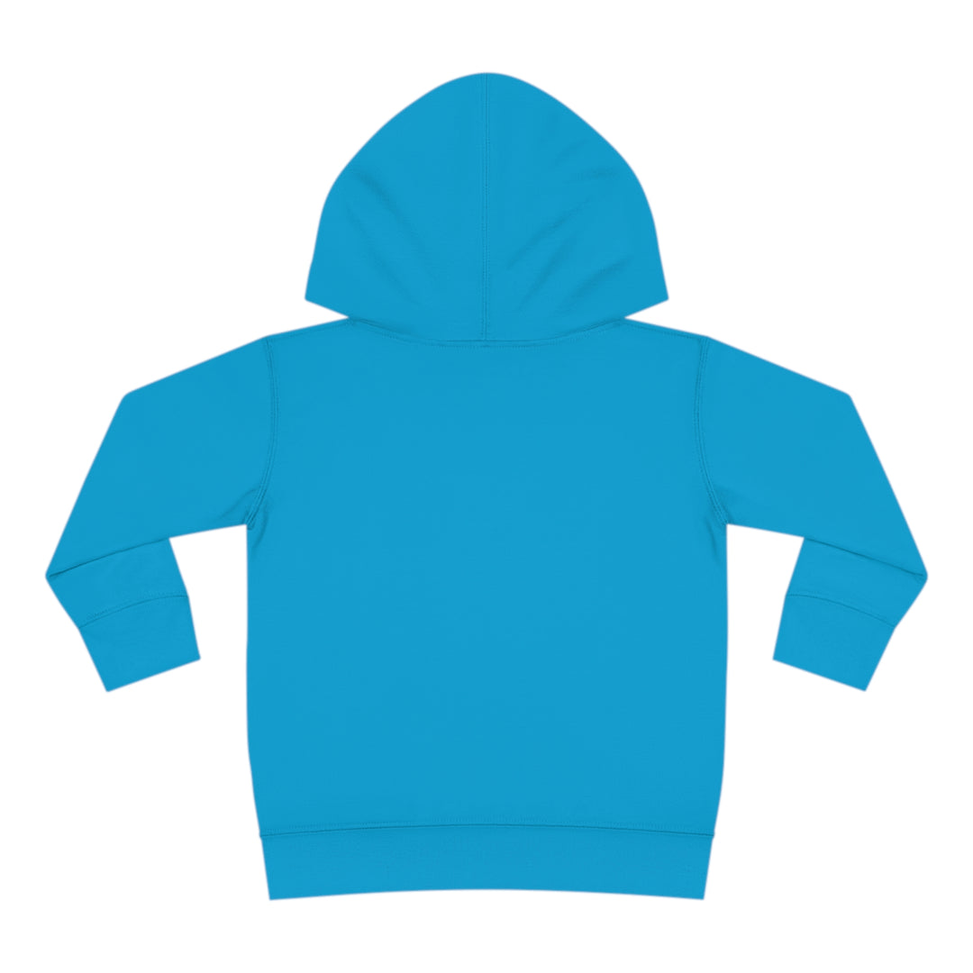 Friends-Toddler Pullover Fleece Hoodie