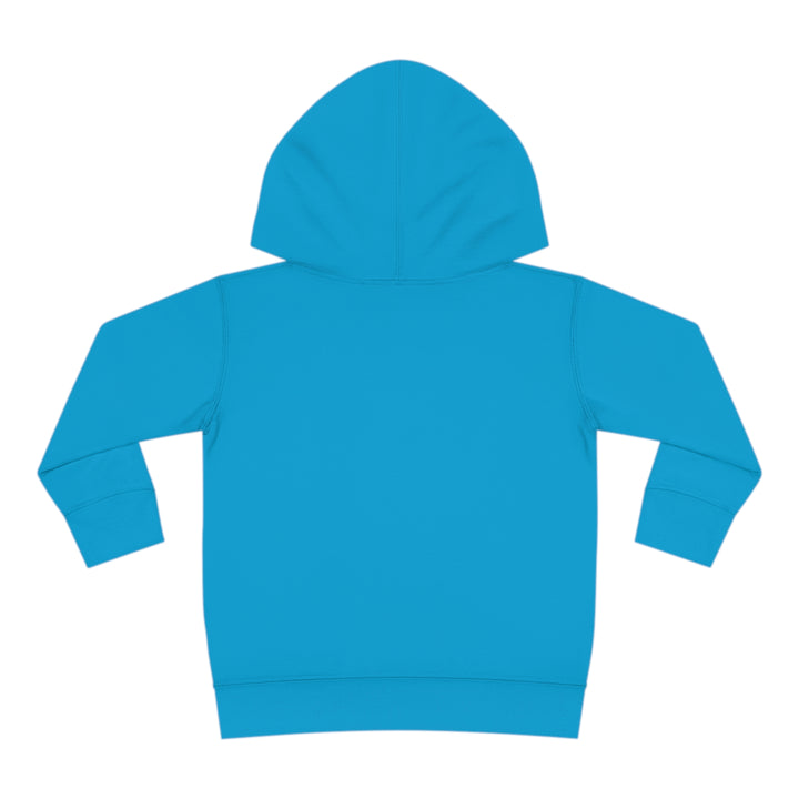 Friends-Toddler Pullover Fleece Hoodie