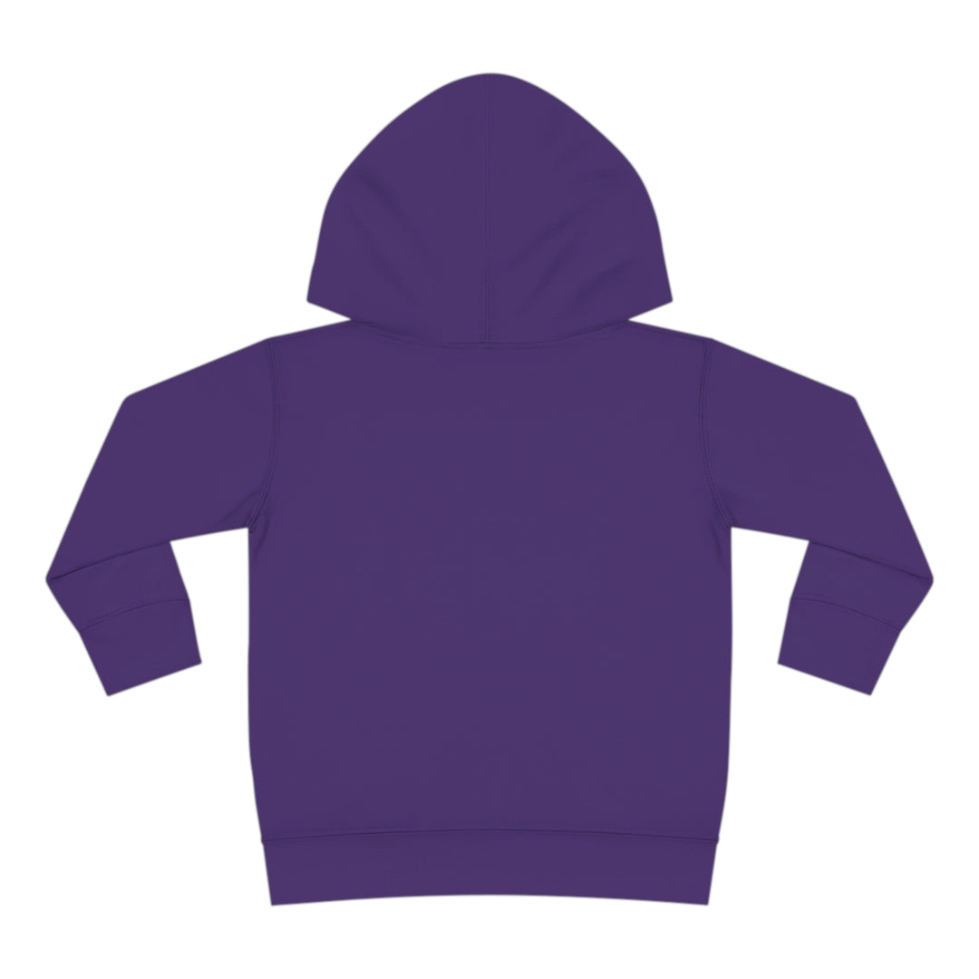 Friends-Toddler Pullover Fleece Hoodie