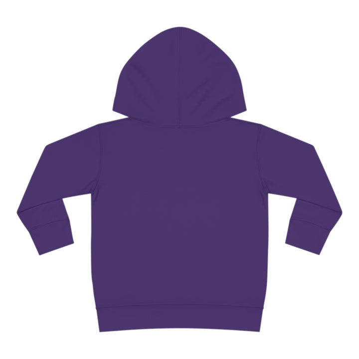 Friends-Toddler Pullover Fleece Hoodie